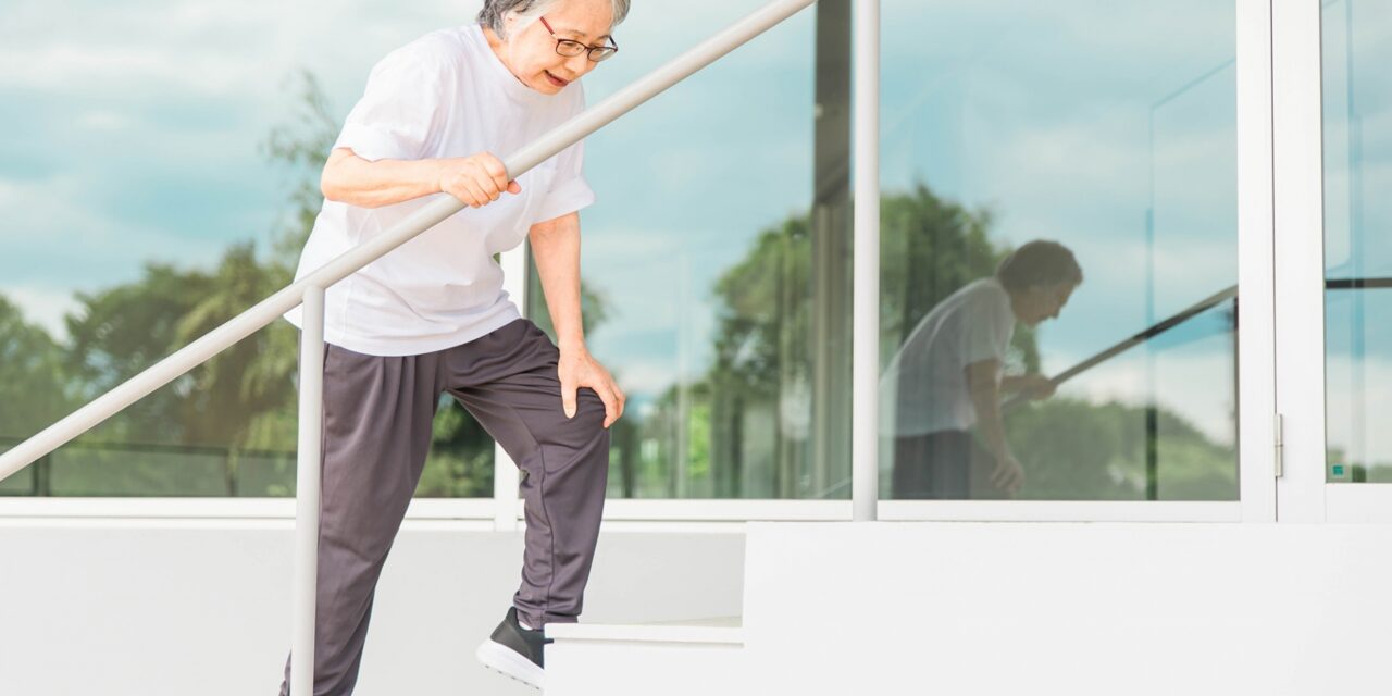 疲れにくい 体づくり のための コンディショニング