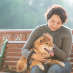 犬を愛することで得られる健康効果