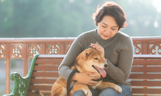 犬を愛することで得られる健康効果